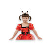Picture of LADYBIRD COSTUME WITH HEADBAND, BELT 3-4 YEARS